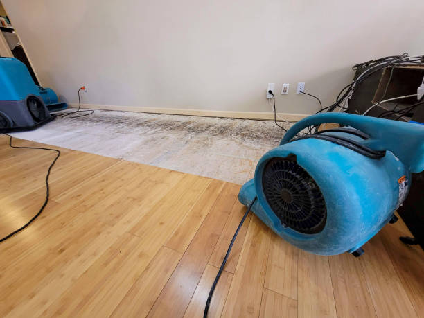 Professional Sewage Cleanup technician working in Pepperell, MA
